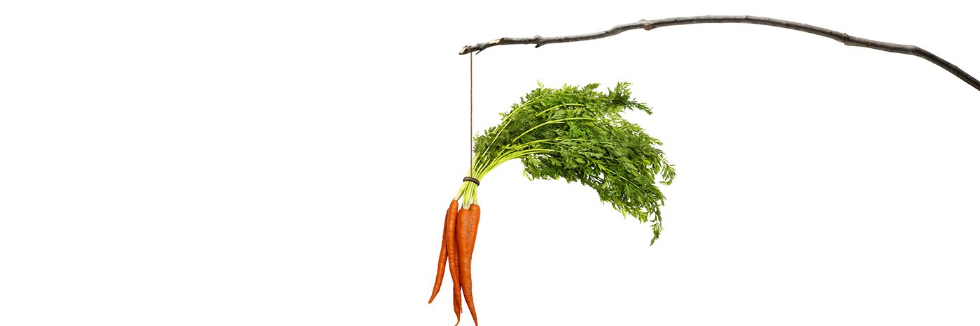 Carrot on dangling from a stick